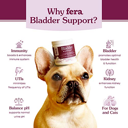 Bladder-Support-Cat-and-Dog-Supplement-Urinary-Tract-and-Kidney-Health-Supplement-with-Organic-Cranberry-D-Mannose-Marshmallow-Root-Astragalus-Root-and-Stinging-Nettle-Root-Fera-Pet-Organics