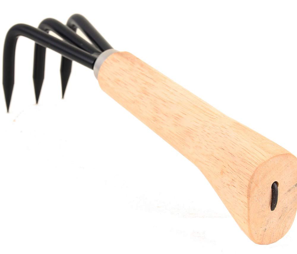 Dingmu Bonsai Root Hook/Root Claw Set of 3 with Wooden Handle 220 mm 60995