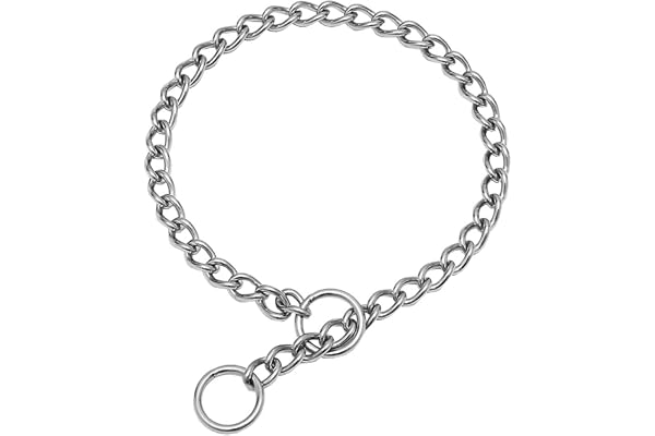 SGODA Chain Dog Training Choke Collar, Total Length 22 in, 3 mm | 304 Stainless Steel