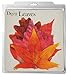EuroQuest Imports EuroQuest Fall Deco Parchment Leaves