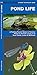 Pond Life: A Folding Pocket Guide to Familiar Plants & Animals Living in or Near Ponds, Lakes & Wetlands (A Pocket Naturalist Guide)