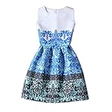 ZAY Womens White Contrast Blue Porcelain Print Flare Sleeveless Vintage Floral Dress