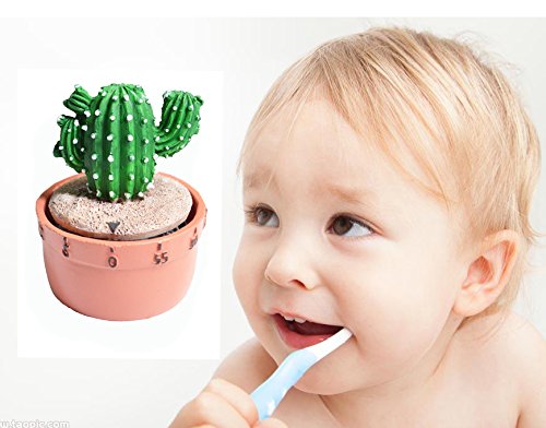 GIFTME 5 Fairy Castle Cactus Kitchen Timer Cooking Timer