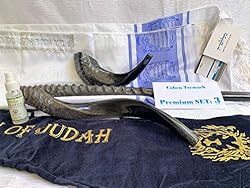 Set Shofar,Oryx,Ram Horn,Kudu,Tallit Messianic