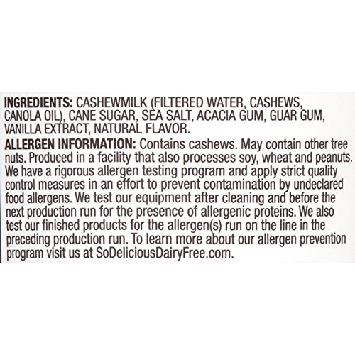 4 Delicious+Dairy+Free+Cashewmilk+Plant+Based+Alternative