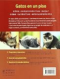 Image de Gatos en un piso/ Indoor Cats (Mascotas/ Pets) (Spanish Edition)
