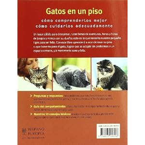 Gatos en un piso/ Indoor Cats (Mascotas/ Pets) (Spanish Edition)