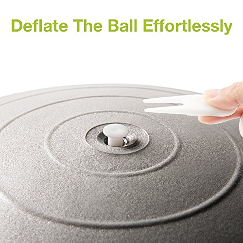 Exercise Ball, Cozzine 65CM Fitness Balance Ball with Hand Pump, Workout Guide, Anti Burst Flexible Seating Stability Ball Yoga Gym Exercise Equipment for Women, Men (Office/Home)