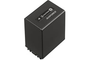 Sony NP-FV100 Rechargeable Battery Pack (Retail Packaging)