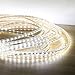 LE 110-120 V AC 164ft Flexible LED Strip Lights, 6000K Daylight White, 3000 Units 5050 SMD LEDs, 720lm/m, Waterproof IP65, Accessories Included, LED Rope Lights, LED Tape, Pack of 164ft/50m
