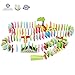LEO & FRIENDS Dominoes Set for Kids-Wooden Building Blocks Preschool Educational Toys with Animal Shapes and Number/Letter Pattern