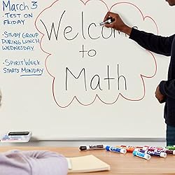 EXPO Dry Erase Whiteboard Cleaning Solution