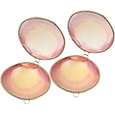 Housoutil Shell Jewelry Boxes, 2PCS Sea Shell Trinket Boxes, Metal Jewelry Small Case for Decor Storage