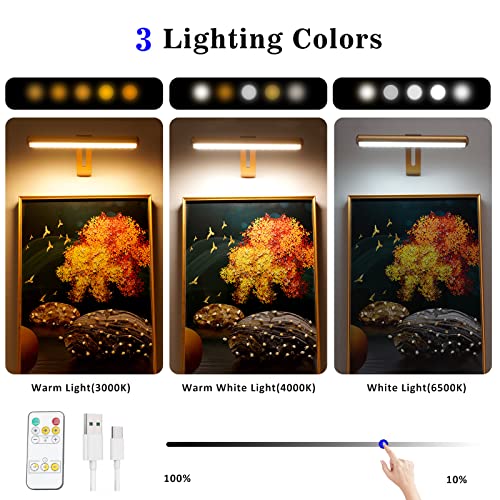 ZOCALOK Rechargeable Picture Light, Cordless Picture Light for