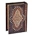 Vintiquewise(TM) Antique Style Book Box, Small