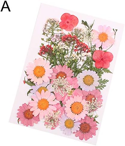 HEART SPEAKER DIY Art Handicraft Pressed Mixed Organic Natural Dried Flowers Gift Decoration - A