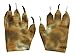 Dragon Claws Costume Accessory for Adults and Kids
