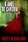 Livro O Anel de Caveira