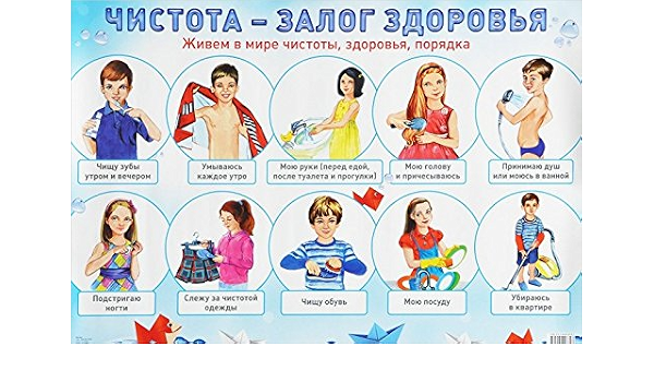 Плакат.дсад.а2.ап.чистота-залог здоровья (9785994908747)