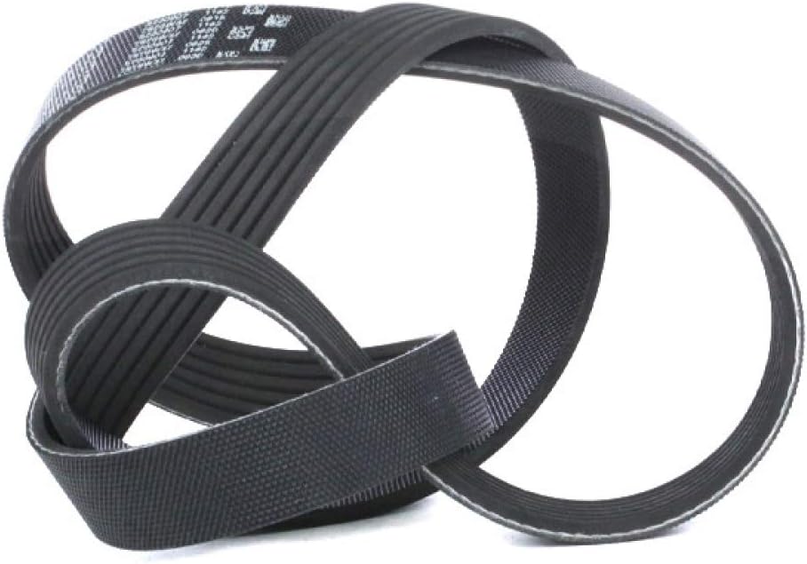GATES 6PK1113 Micro-V Xf Ribbed V-Belt, Schwarz - Image 4
