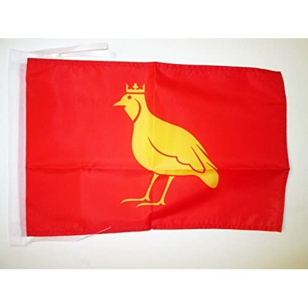 AZ FLAG - French Province of Aunis Flag - 18'' x 12'' - 100% Polyester France province Small Banner with Two Cords - Fade Resistant - Vivid Colors - 18x12 in - 45x30 Cm — image 1