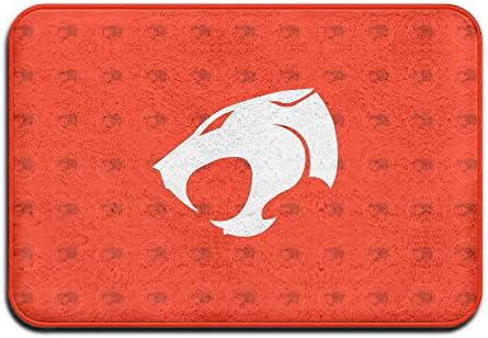 VDSEHT Thundercats Logo Non-slip Doormat