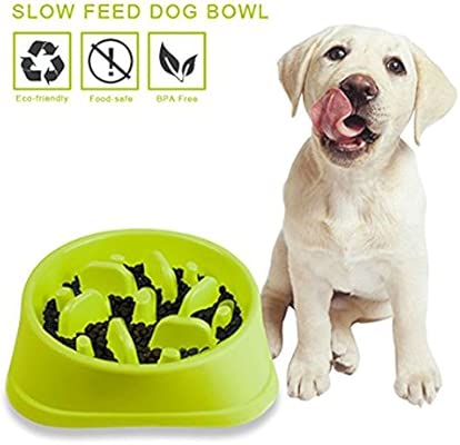 Lucy Deer Kat Pet Fun Feeder Dog Bowl Slow Feeder Bloat Stop Dog
