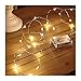 Lihiton Led String Lights 100 LEDs Decorative Fairy Battery Powered String Lights, Copper Wire Light for Bedroom,Wedding(33ft/10m Warm White)