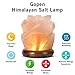 Hymilian Sea Salt Lamp - Himalayan Pink Rose Hand Carved Glow Rock Salt Lamps With Wood Base Included USB Electric Wire & Multi Color Changing LED Light - Mini Air Purifier For Office Home Hotel Yoga