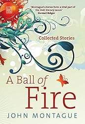 A Ball of Fire: Collected Stories