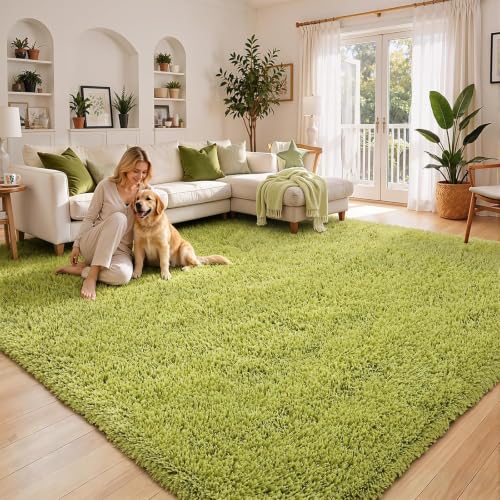 Area Rugs