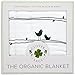 Clover & Sage Organic Muslin Baby Toddler Blanket - 100% Hypoallergenic Cotton Bed Blankets - Lucky Birds