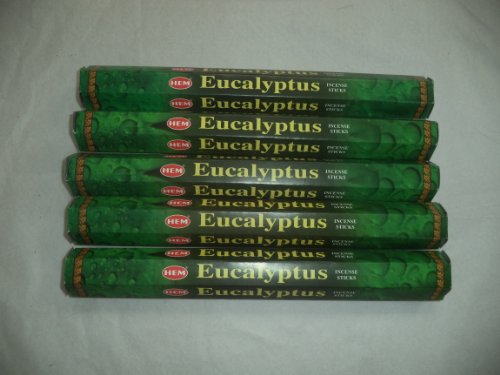 HEM Eucalyptus 100 Incense Sticks (5 x 20 stick packs)