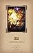 Hearthstone Hardcover Ruled Journal (Insights Journals)