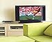 TERK Omni-Directional, Amplified Digital Flat Indoor HDTV Antenna