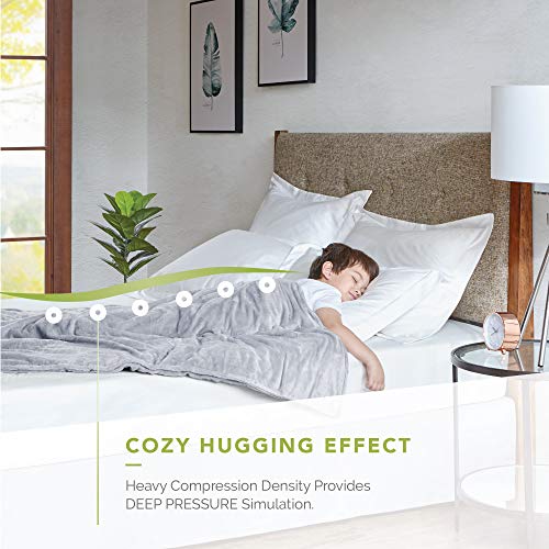 Degrees of Comfort Kids Weighted Blanket with Cover, 1 x Cozyheat Minky Plush Included Micro