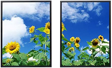 50x70cm X2枚 ライト高級 クリスタル磁器の装飾画 黒アルミ合金フレーム ひまわり畑空雲夏 アートパネル 壁掛け絵画 インテリアアート 現代 壁飾り 部屋飾り 壁ポスター 絵画 玄関 おしゃれ モダン 壁掛け 50x70cm X2枚 ライト高級 クリスタル磁器の装飾画 黒アルミ合金フレーム ひまわり畑空雲夏 アートパネル 壁掛け絵画 インテリアアート 現代 壁飾り 部屋飾り 壁ポスター 絵画 玄関 おしゃれ モダン 壁掛け