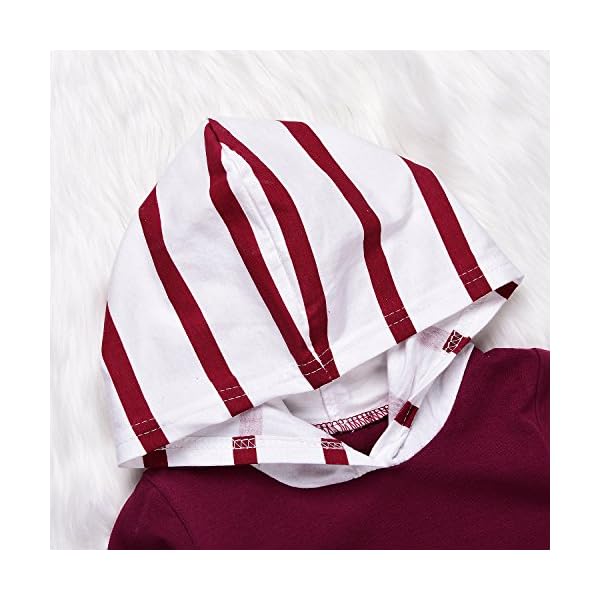 AlwaysFun Newborn Baby Girls Boys Long Sleeve Striped Hoodies Tops Sweatsuit and Stretch Pants Outfits Clothing Set - Image 5