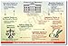 American Government: System of Checks and Balances - Classroom Civics Poster primary