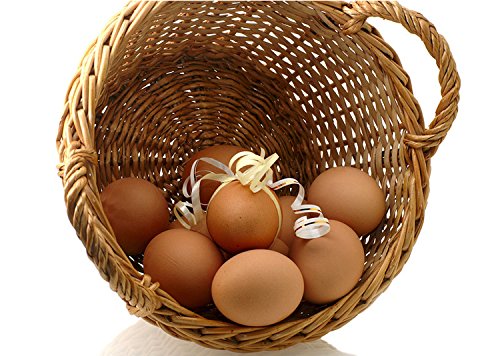 Easter Eggs Wooden Fake Eggs 9 Pieces 2 Colors