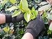 SEUROINT 100% Cotton Gloves with PVC Dots, Stretchable knit wrist Breathable Sure-Grip Work, gardening Gloves, Non slip 6 Pairs per pack, Brown