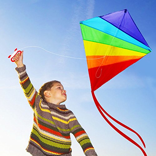 HAPPYTOY Rainbow Diamond Kite - 47 inch Easy Flyer Rainbow Kites for Kids and Adults with 300ft Line Great Beginner Kite - Thumbnail 4