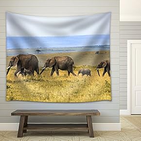 Elephant Family on The Vast Grassland - Fabric Wall Tapestry Home Decor - 51x60 inches