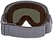 Dragon Alliance APX Ski Goggles