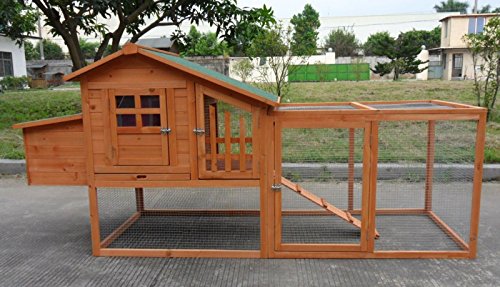 Amazoncom Chickencoopoutlet Deluxe Large Wood Chicken Coop