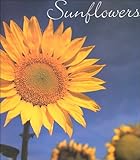 Sunflowers by