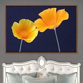 signwin Framed Canvas Wall Art Flora Snapshot Closeup...