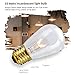 Zitrades S14 Bulbs for Outdoor String Lights, Pack of 15, 10 Watts, Clear Glass S14 Incandescent Light Bulbs for E26 E27 Sockets