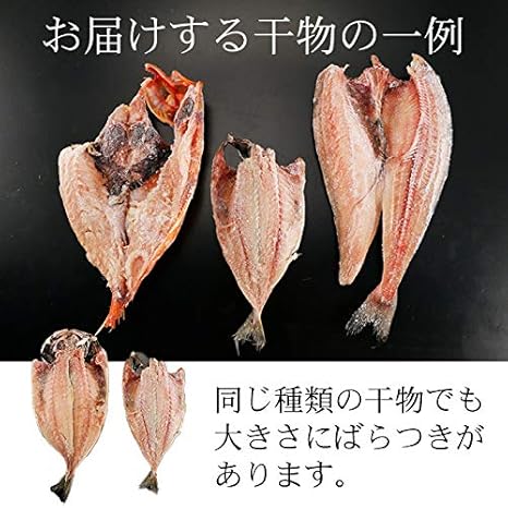 Amazon 干物 訳あり 沼津訳あり干物セット約1 5kg わけあり ワケアリ Nkk オーガニックサイバーストア 干物 燻製 通販