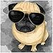 Adarl 5D DIY Full Diamond Painting Rhinestone Pictures of Crystals Embroidery Kits Arts, Crafts & Sewing Cross Stitch (Dog 2)